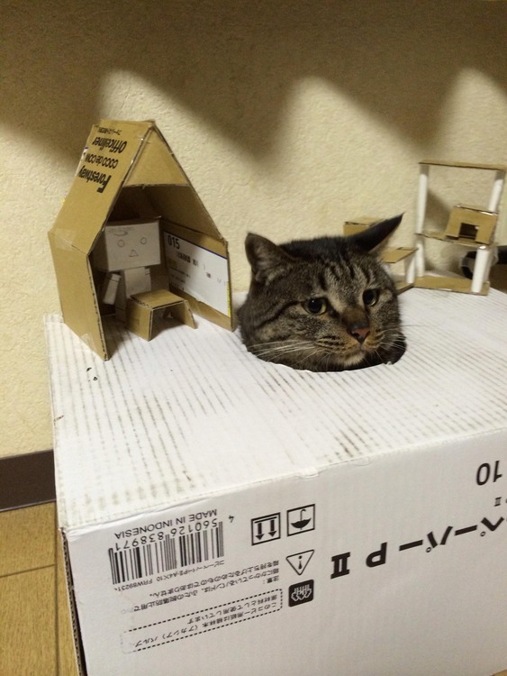goldennews http://blog.livedoor.jp/goldennews/archives/51820607.html