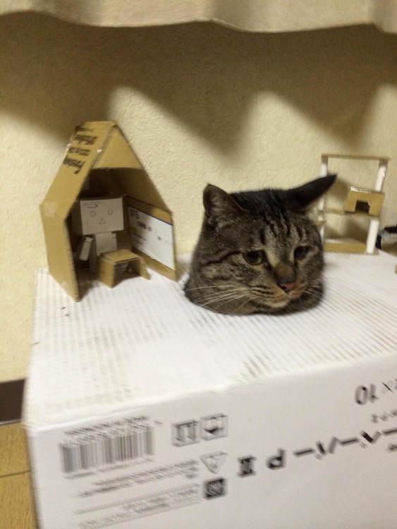 goldennews http://blog.livedoor.jp/goldennews/archives/51820607.html
