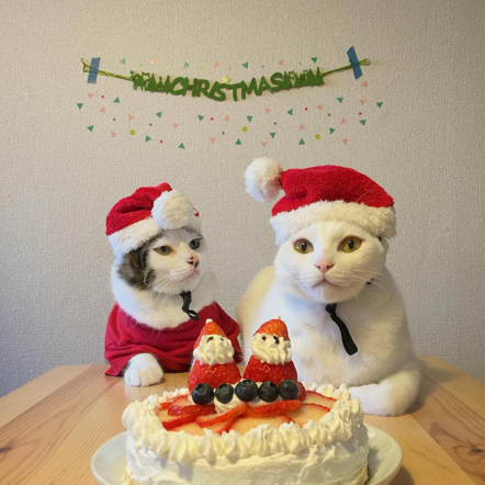 naomiuno https://www.instagram.com/naomiuno/