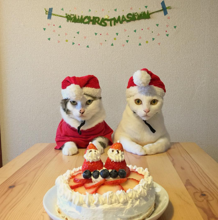 naomiuno https://www.instagram.com/naomiuno/