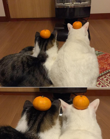 naomiuno https://www.instagram.com/naomiuno/