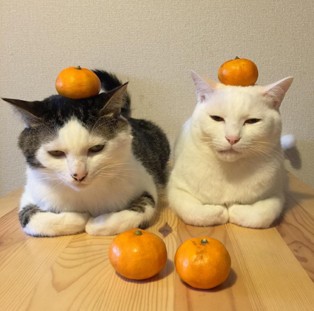 naomiuno https://www.instagram.com/naomiuno/