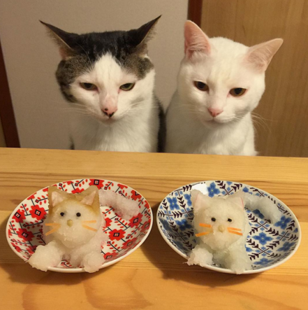 naomiuno https://www.instagram.com/naomiuno/